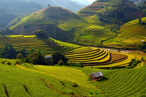 Mu Cang Chai exploration 3 days