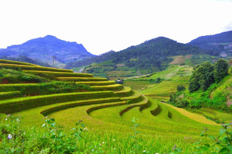 Northwest rice terraces