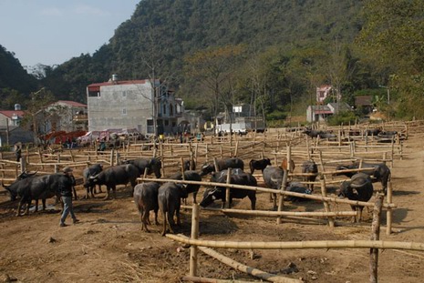 Tra Linh market in Cao Bang